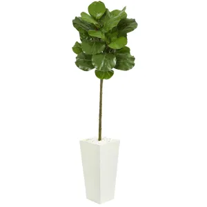 5.5’ Fiddle Leaf Artificial Tree in White Tower Planter